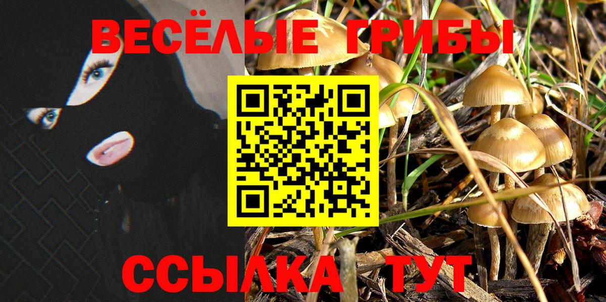 купить наркоту  Вход с VPN  Ликино-Дулёво  Псилоцибиновые грибы Psilocybine cubensis  Галлюциногенные грибы ЛСД 